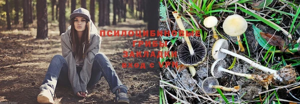 бутират Бронницы