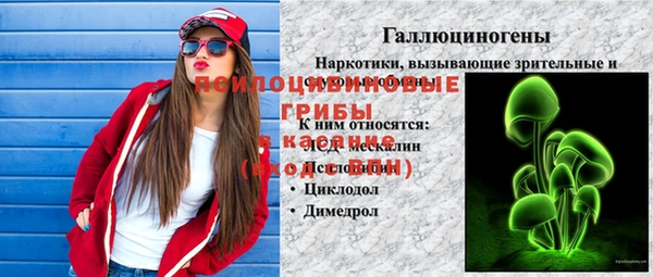 альфа пвп Бородино