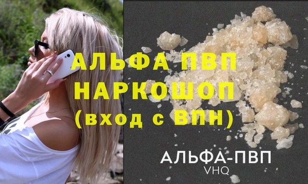 шишки Беломорск